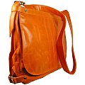 Faye Laptop Messenger Bag 1